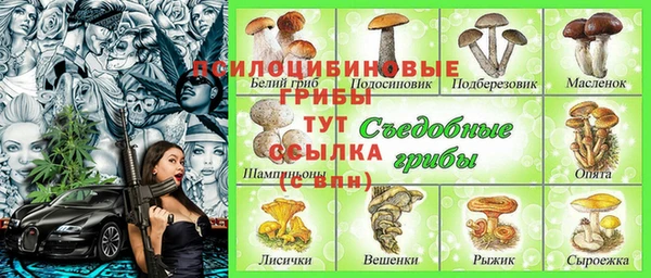 винт Аркадак