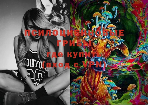 винт Аркадак