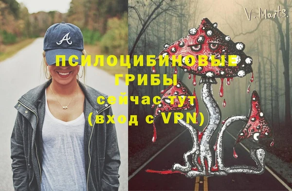 ECSTASY Баксан