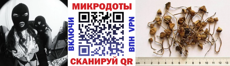 Галлюциногенные грибы MAGIC MUSHROOMS  Порхов 